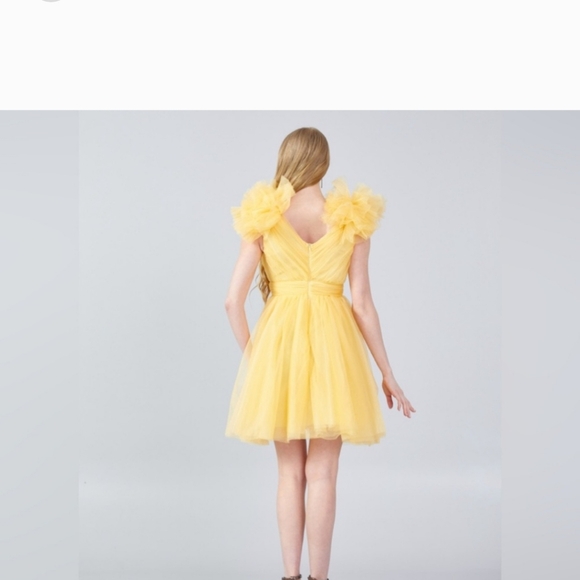 Mini Tulle Dress - Picture 15 of 16